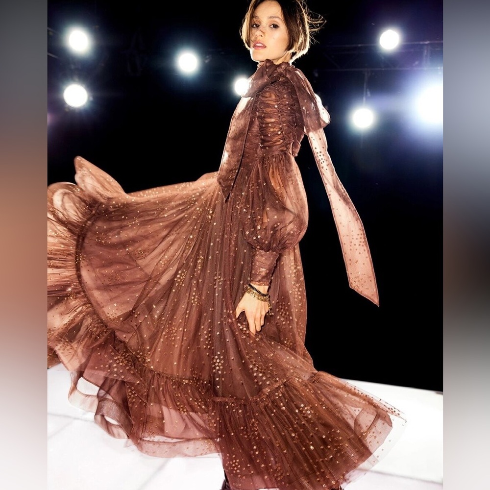 Zimmermann Runway Tempo Ruched Glitter-Tulle Gown